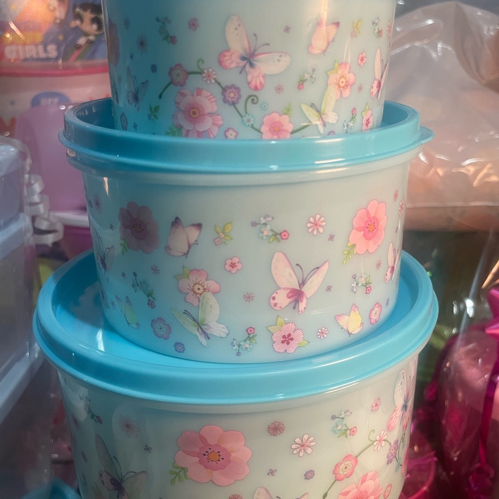 Butterfly Floral Storage Containers